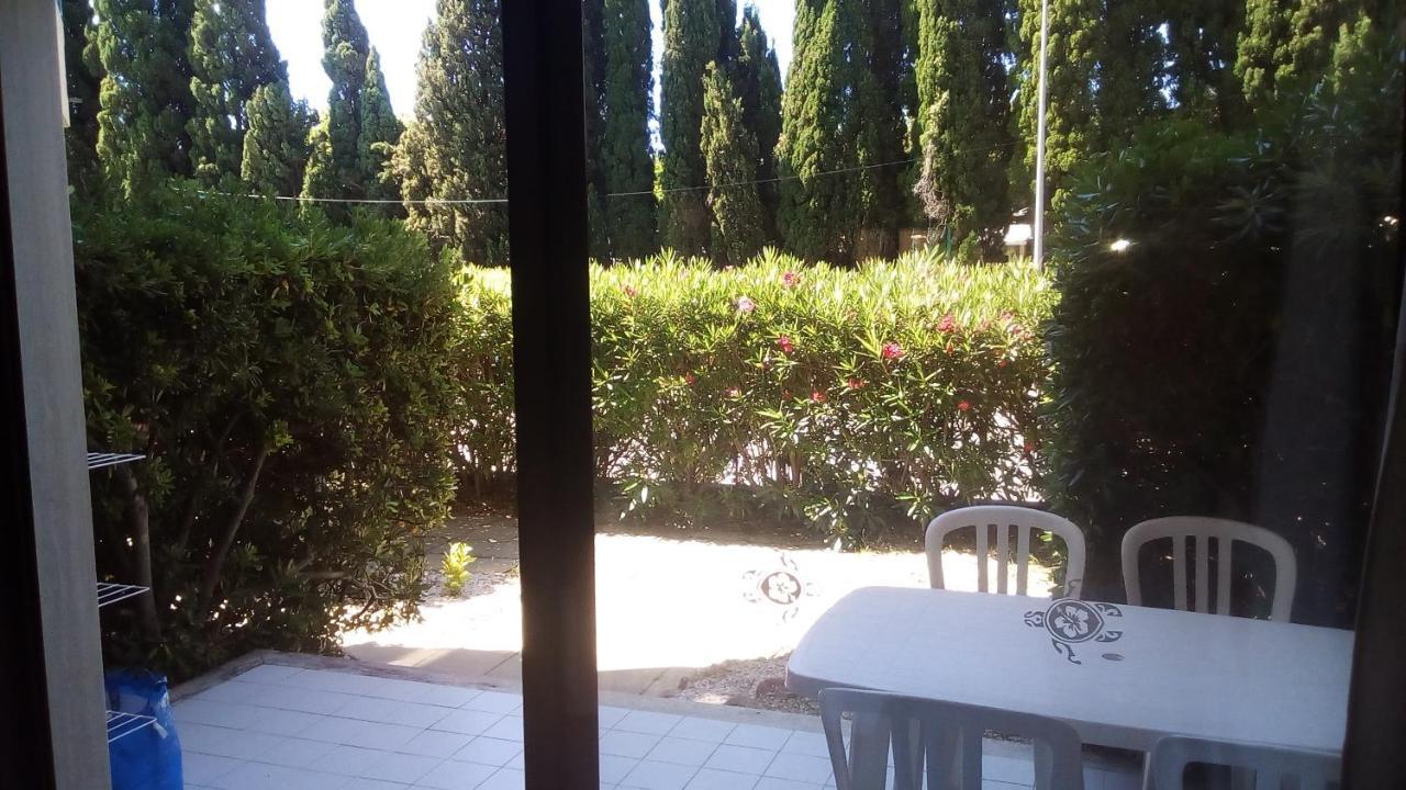 Studio De 27 M² + 70 M² De Jardin A 100 M Des Plages 滨海卡瓦莱尔 外观 照片